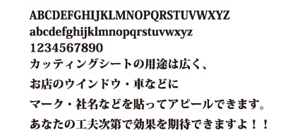 4号(13.75pt) 正楷 片仮名 和活字 カタカナ レザクラ ハンドメイド+